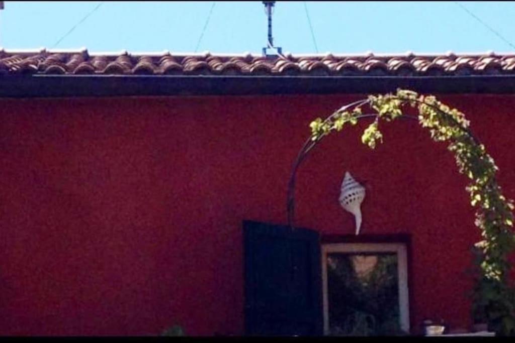 La Casetta Rossa ريميني المظهر الخارجي الصورة